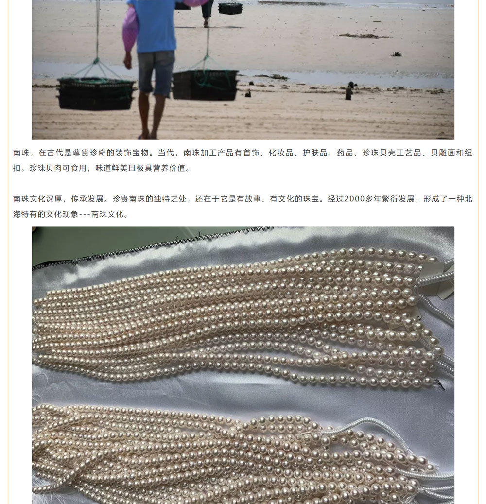 古老南珠，綻放異彩