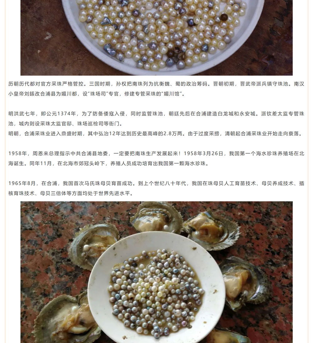 古老南珠，綻放異彩