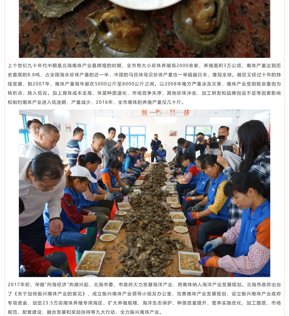 古老南珠，綻放異彩