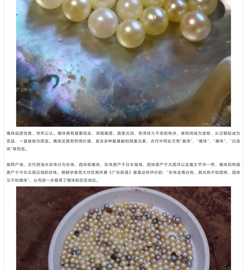 古老南珠，綻放異彩
