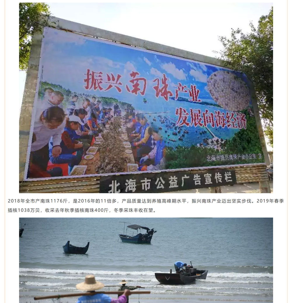 古老南珠，綻放異彩